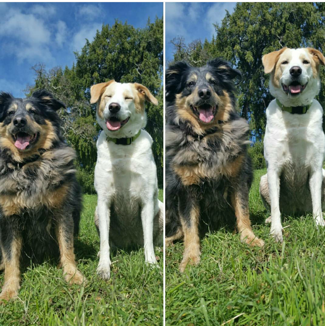 Cleo & Soda